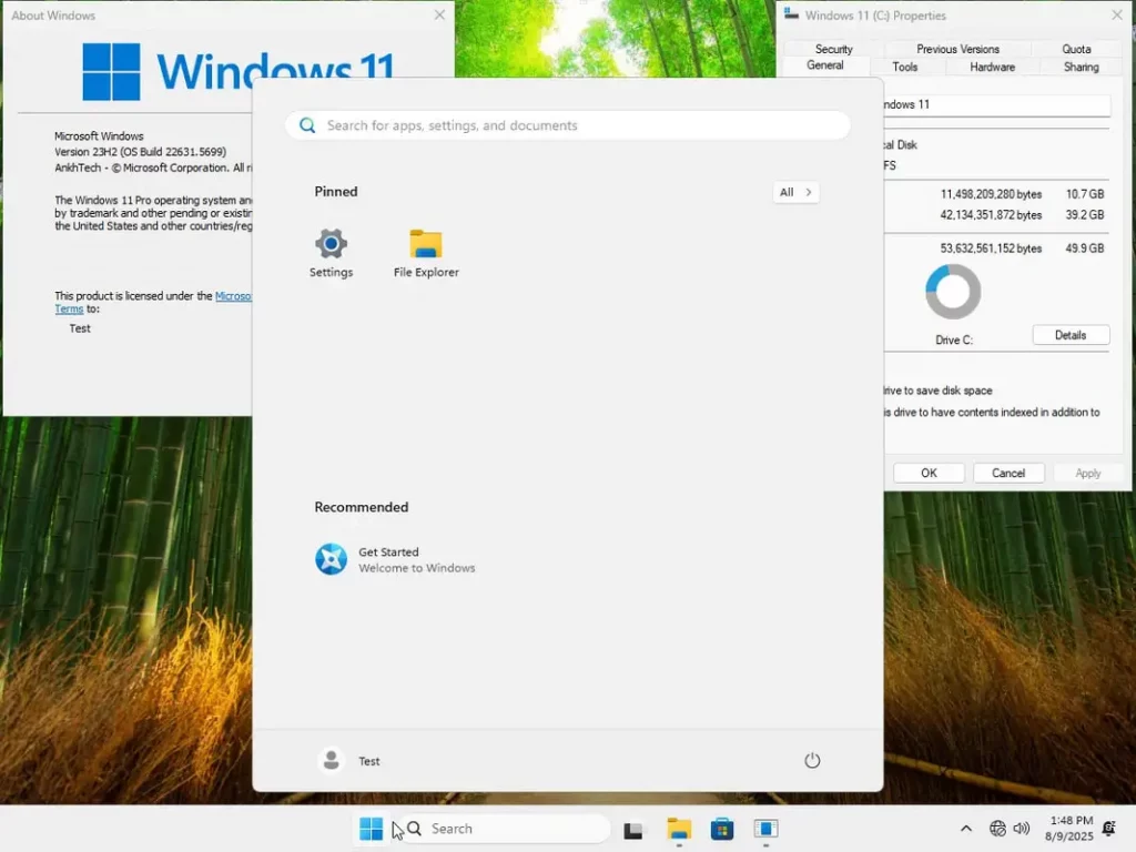 Windows 11 Pro Lite SuperLite v23H2 Build 26100.5699 by Ankh Tech ScreenShot 5