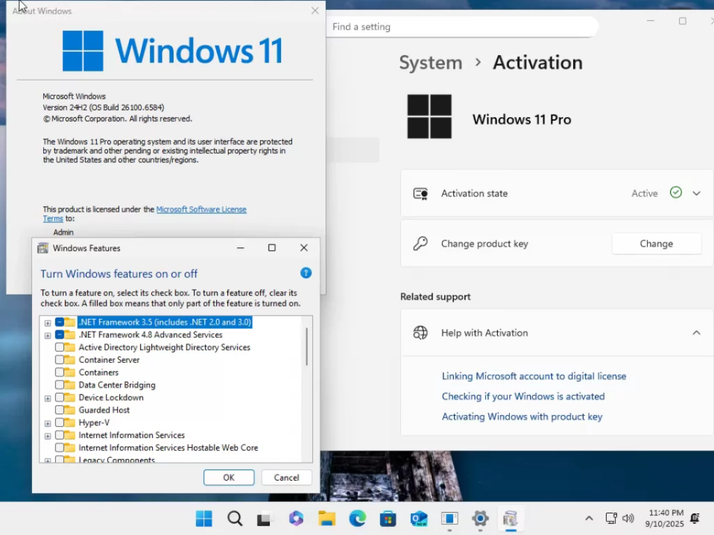 Windows 11 Pro v24H2 Build 26100.6584 No TPM PreActivated ScreenShot 1
