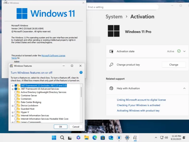 Windows 11 Pro v24H2 Build 26100.6584 (No TPM) PreActivated ScreenShot 1