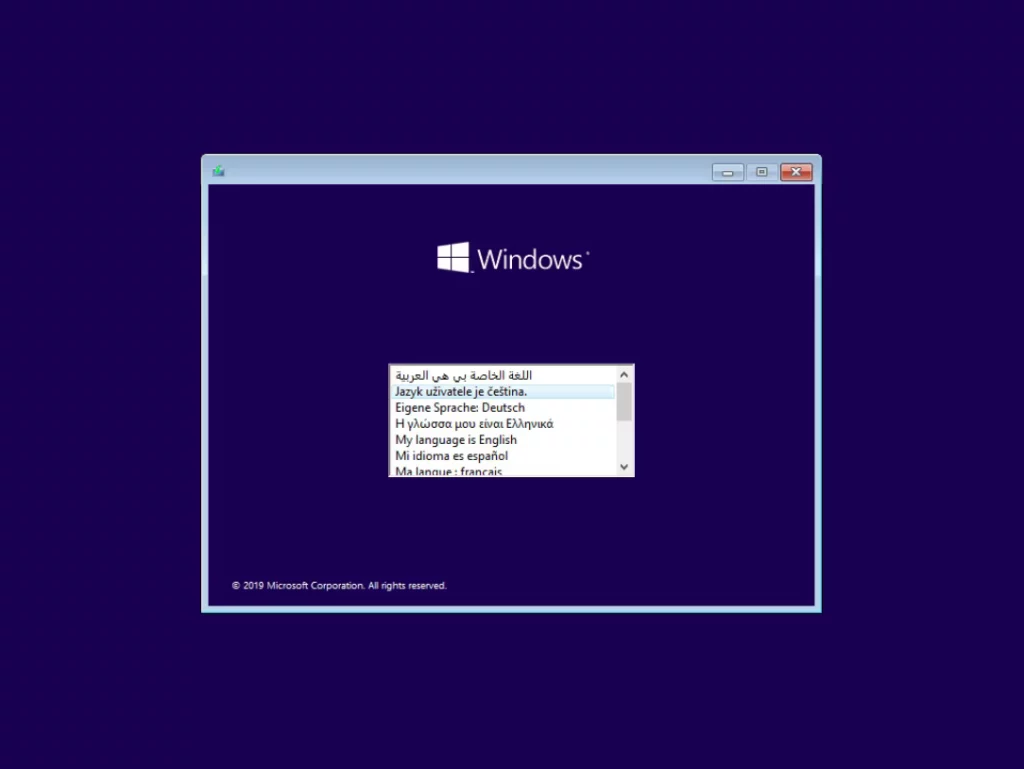 Windows 11 Pro v24H2 Build 26100.6584 No TPM PreActivated ScreenShot 2