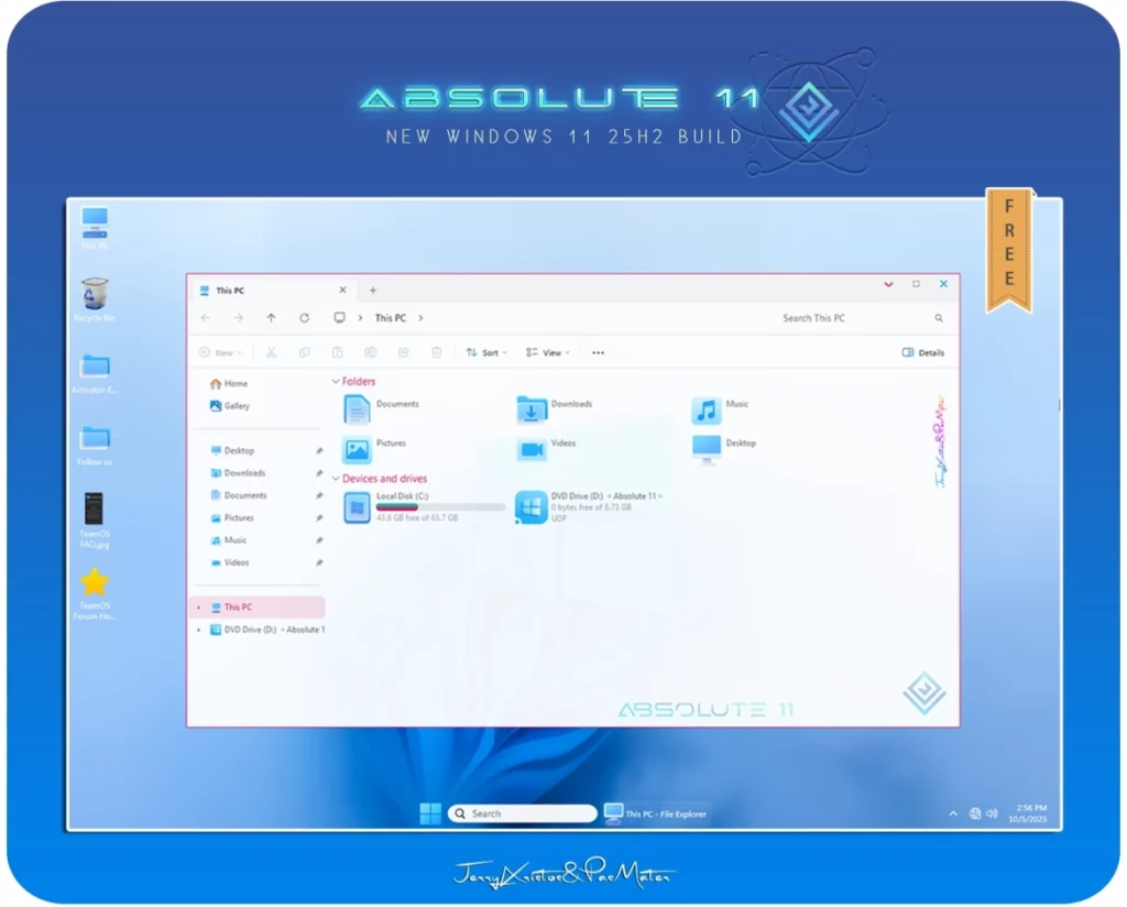 Absolute 11 1
