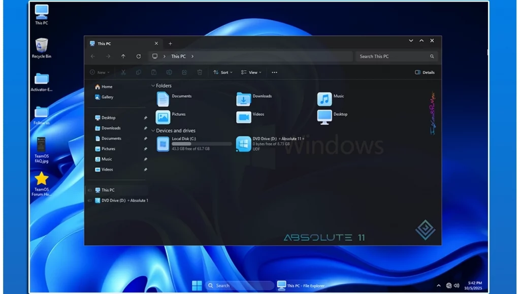 Absolute 11 2