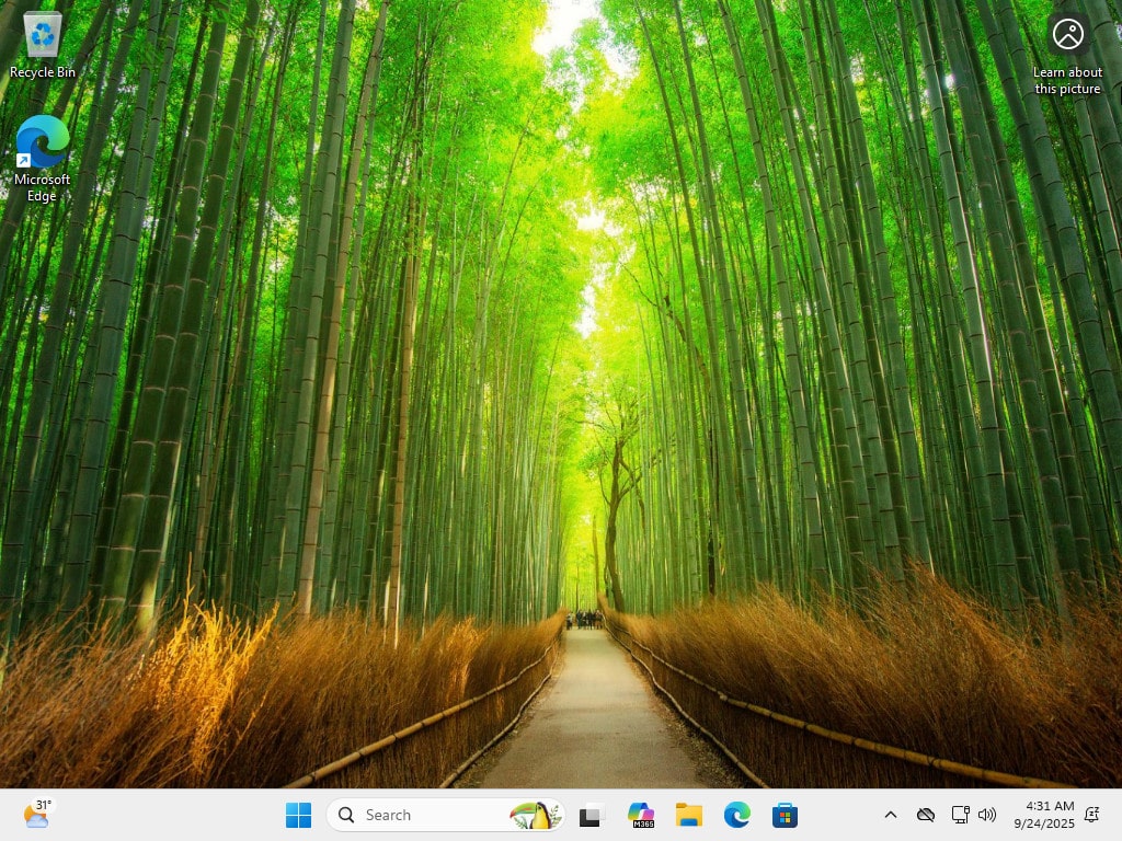 Windows 11 25H2 consumer 1
