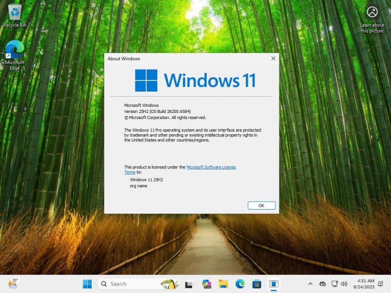 Windows 11 25H2-consumer