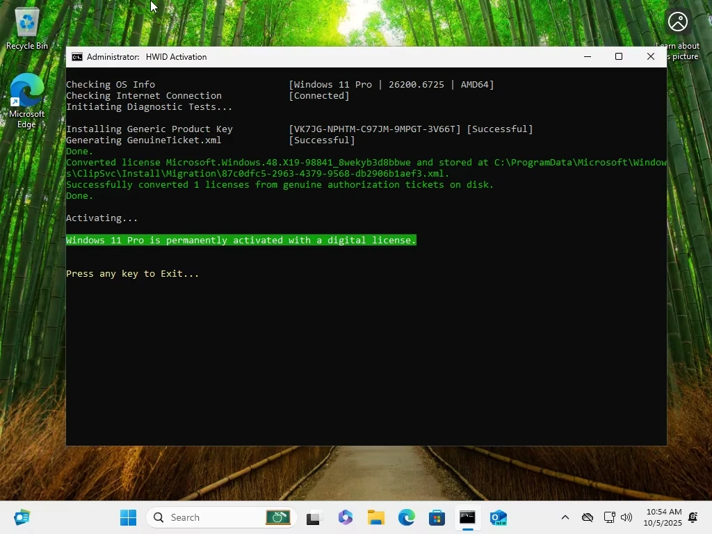 Windows 11 Pro v25H2 Build 26200.6725 2