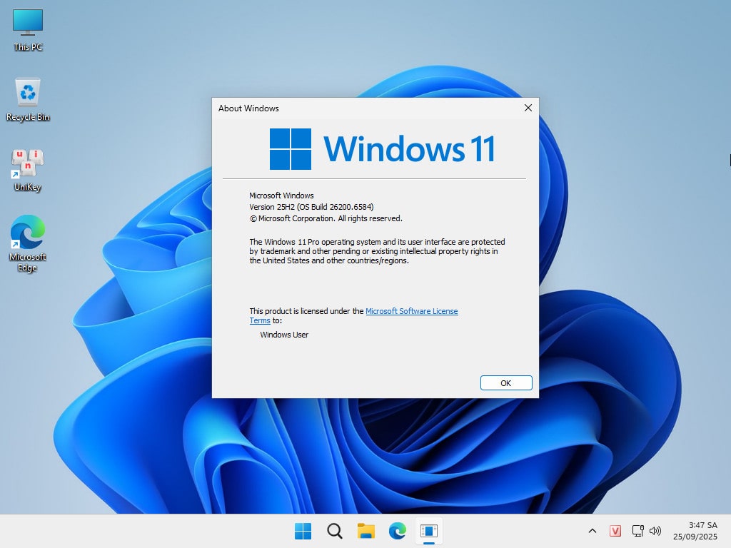 ghost win 11 pro 25h2 no soft v25 2 2
